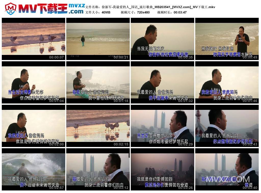 徐新军-我最爱的人_国语_流行歌曲_MB203541
